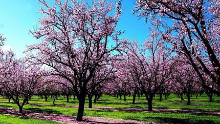 Climate of armenia