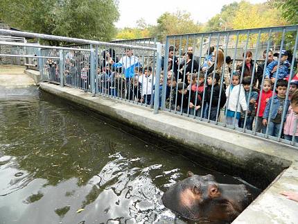 Yerevan Zoo 